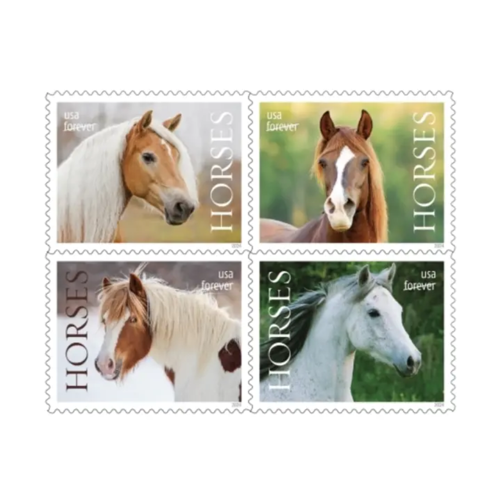 Forever Stamps 2024 Horses - First-Class Postage Stamps