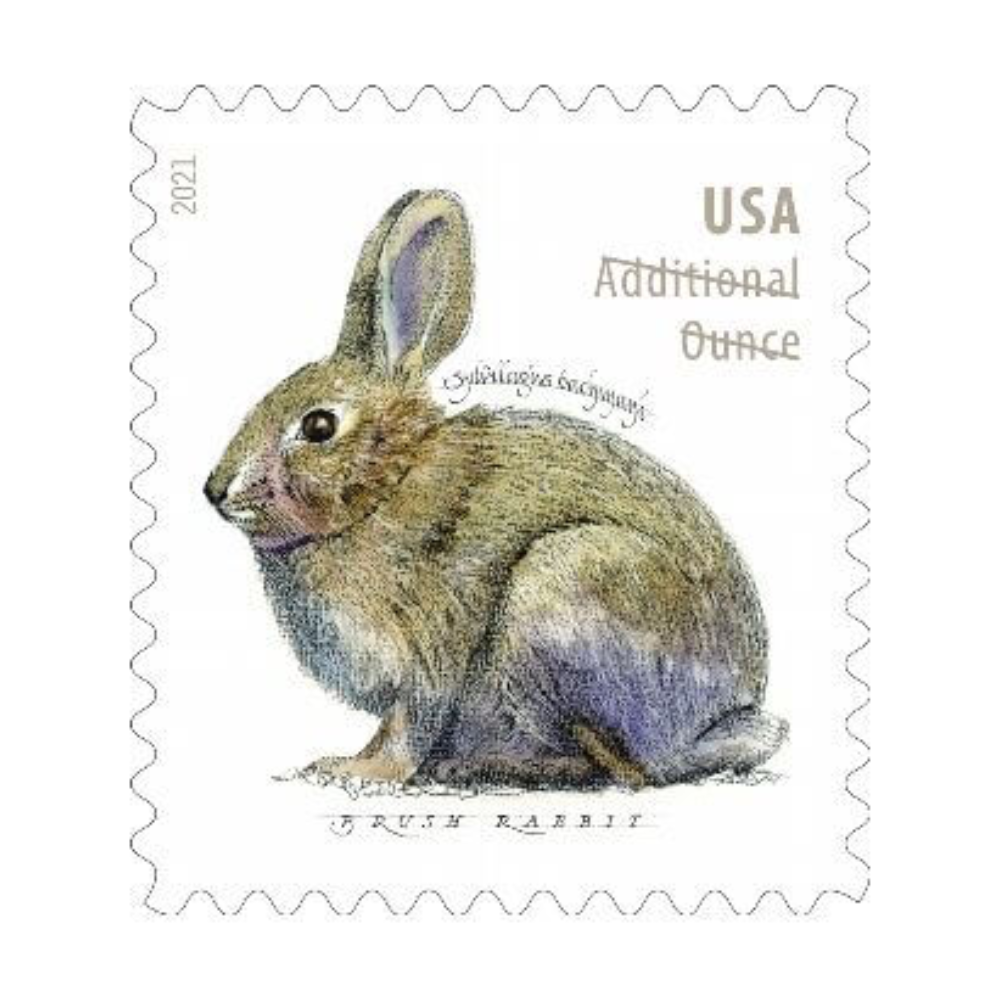 Forever Stamps 2021 Brush Rabbit - First-Class Postage Stamps