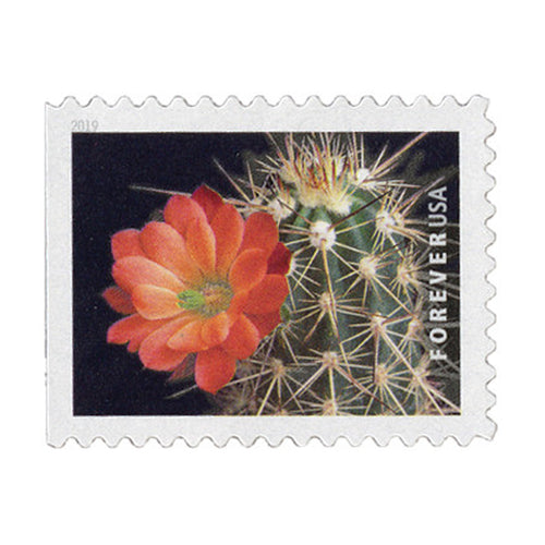 2018 Cactus Flowers First-Class Postage Stamps